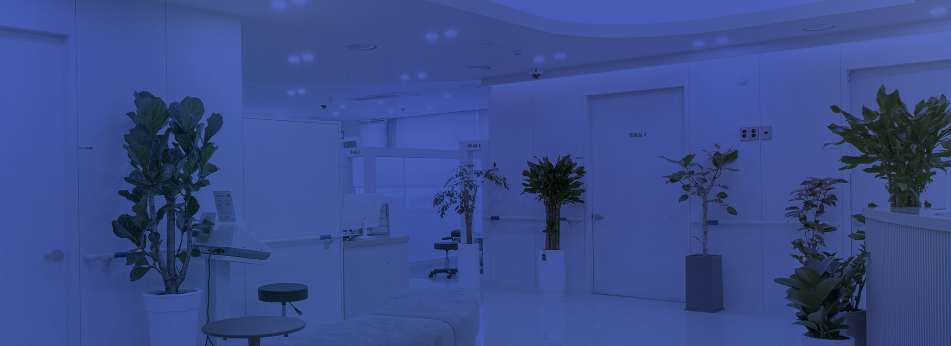 키비주얼 이미지